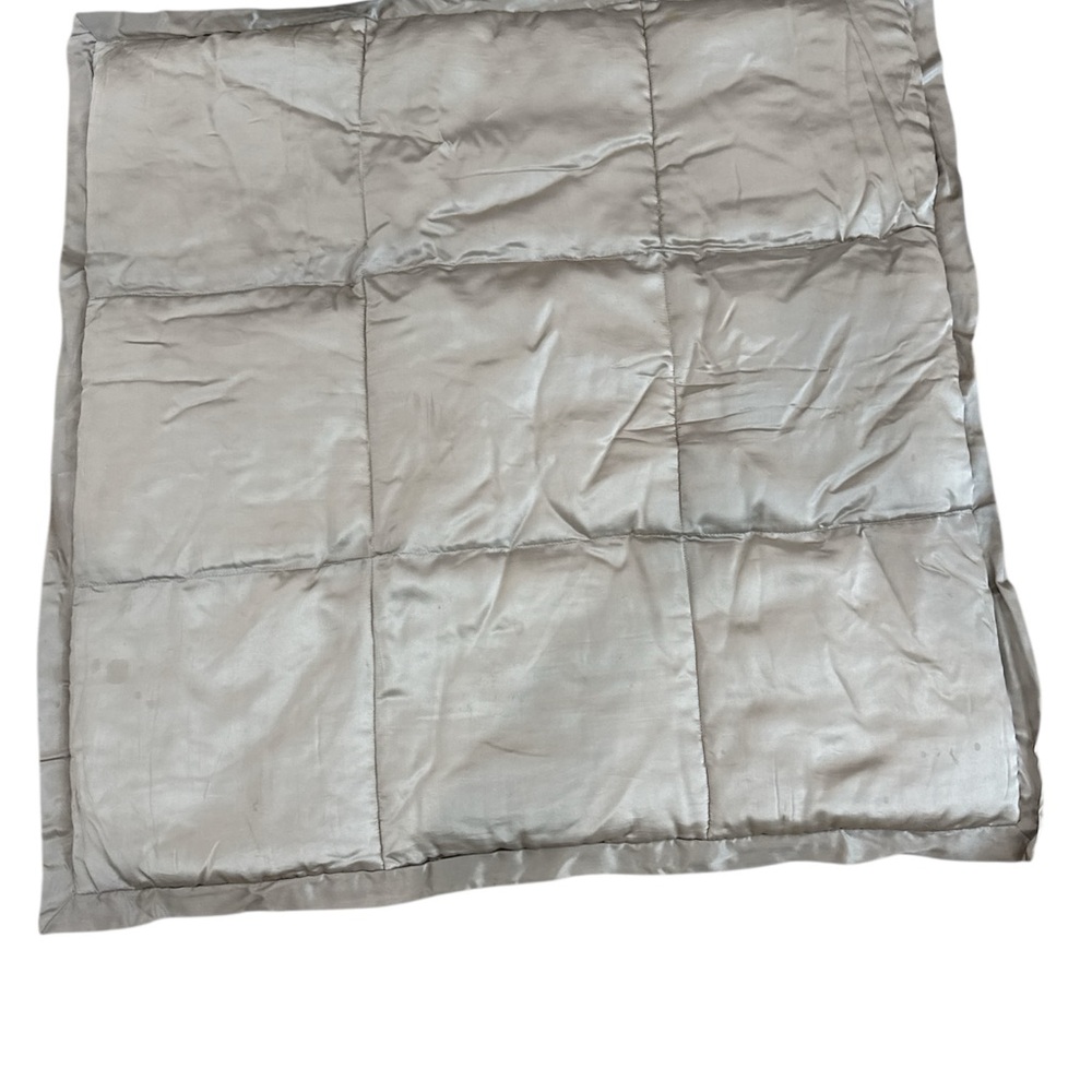 Donna Karan Platinum Ash Shams